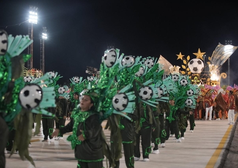 InfoGripe destaca cuidados para aproveitar carnaval com segurança
