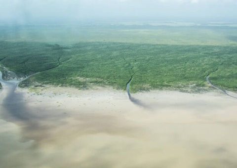 Licenciamento na Foz do Amazonas definirá destino de outros 47 blocos de exploração na bacia