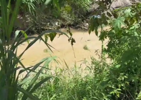 Foto: Crânio humano é encontrado em igarapé no Val Paraíso 