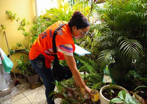 Manaus confirma mais 4 casos de dengue