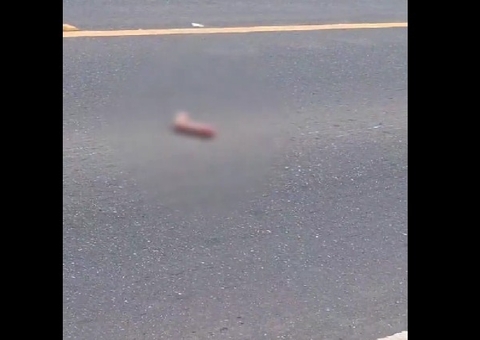 Vídeo: Homem se depara com 'pênis' em rodovia de Iranduba