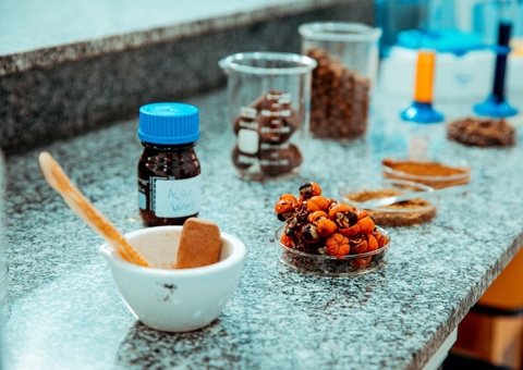 Suplemento que pode atenuar os sintomas da Doença de Parkinson é desenvolvido no Amazonas