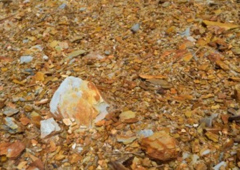 MPF recomenda suspensão imediata de requerimentos e de licenças de mineração na calha do Rio Juruá