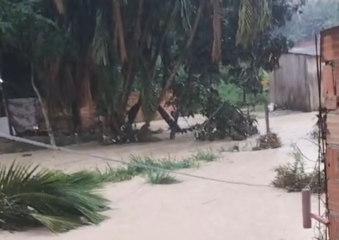 Temporal inunda casas e arrasta vegetação em comunidade de Manaus; vídeo