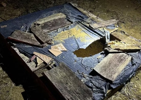 Criança de 3 anos é encontrada morta em fossa após horas desaparecida