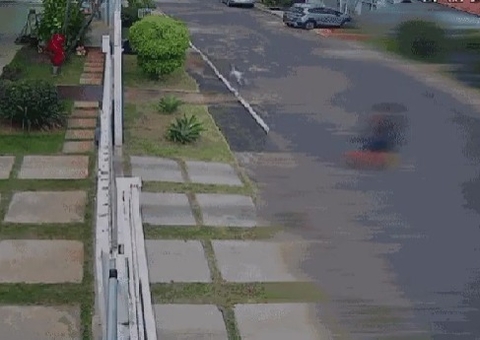 Ataque de pitbull: animal escapa de casa e ataca mulher e crianças