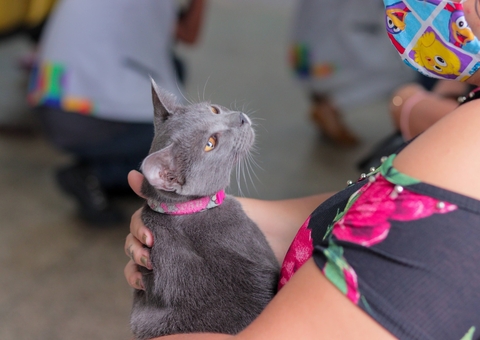 Campanha de vacinação antirrábica em cães e gatos encerra na segunda-feira em Manaus