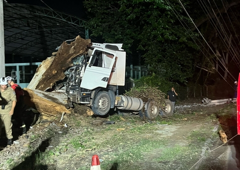 Quatro pessoas ficam feridas após caminhão colidir com árvore em Manaus