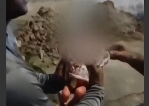  Vídeo: Garis encontram bebê recém-nascida em sacola de lixo no RJ