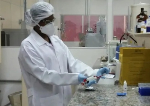 Primeira vacina brasileira contra gripe aviária entra em fase de testes