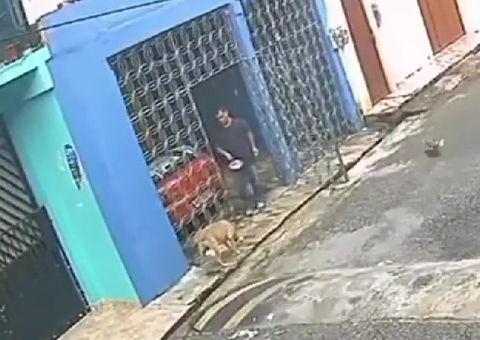 Crueldade: Homem atrai e joga água quente em cachorro caramelo no Pará