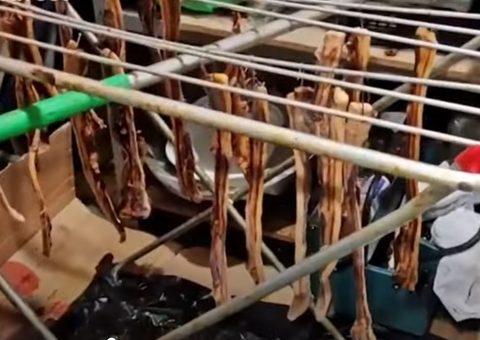 Restaurante que servia carne podre e pombo no lugar de pato é fechado em Madrid