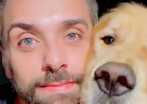 Senado aprova novas regras para transporte aéreo de animais