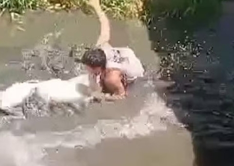 Turista é atacado após confundir crocodilo de 4,5 metros com estátua nas Filipinas