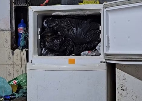  Médico é preso por manter cães mortos em freezer no RJ 