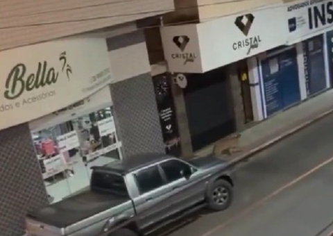 Onça-parda surpreende moradores ao andar por ruas de Iconha, no ES