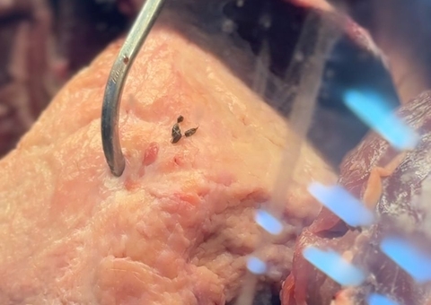 Após flagra de rato entre carnes, supermercado é autuado por vender alimentos impróprios em Manaus