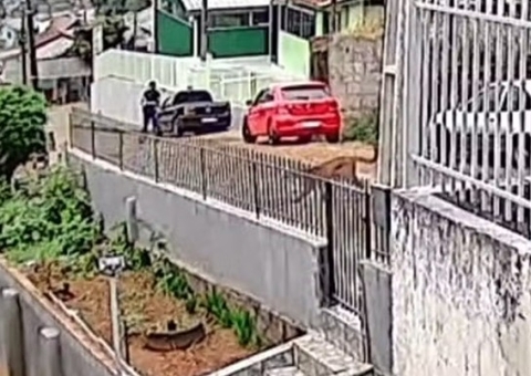 Vídeo: Homem se depara com onça na rua em Santa Catarina