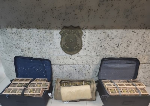 Homem é condenado por tentar viajar com 300 aves em malas em aeroporto de Manaus