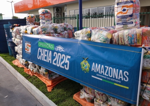 Mais de 48 mil famílias são afetadas pela cheia no Amazonas, informa Comitê