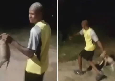 Crueldade: homem arremessa filhote de cachorro em matagal no RJ