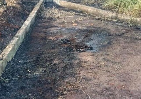 Mulher e bebê são encontrados carbonizados em mata no Mato Grosso do Sul 