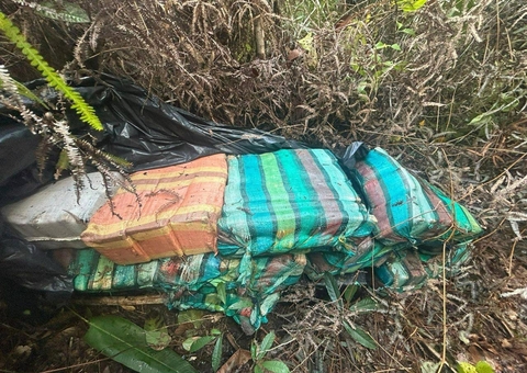 Carga de R$ 17 milhões em maconha é aprendida em sítio no Amazonas 