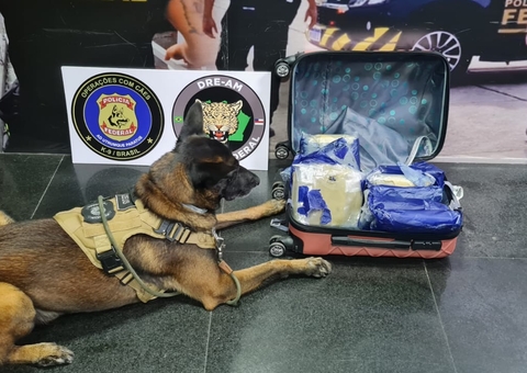 Passageira transporta 9 quilos de skunk para Manaus e acaba presa em aeroporto