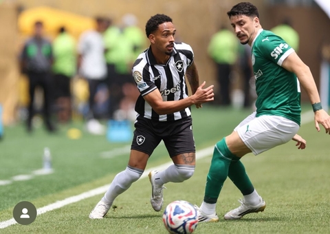 Palmeiras tem gol anulado contra Botafogo no início do 2º tempo