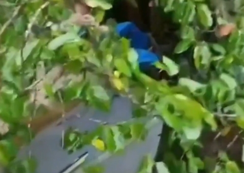 Família de Maués sobrevive a naufrágio após tempestade em rio