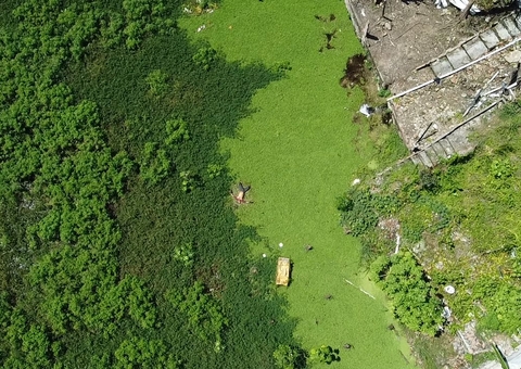 Moradores encontram corpo em estado de decomposição em igarapé no Centro
