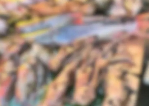 MP investiga venda ilegal de mucuras na Feira do Açaí, no Pará