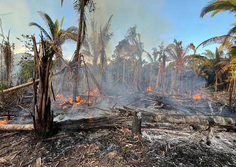 Fiscalização do MPAM e PM flagra incêndio criminoso e prende suspeitos