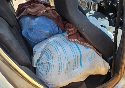 Dupla é presa ao ser flagrada com 52 kg de drogas no Careiro da Várzea