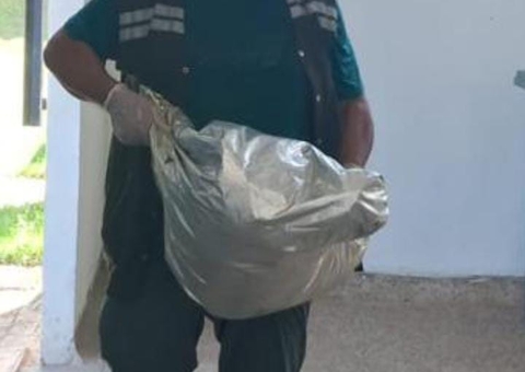 Servidor do CCZ de Iranduba é acusado de eutanásia cruel em animais