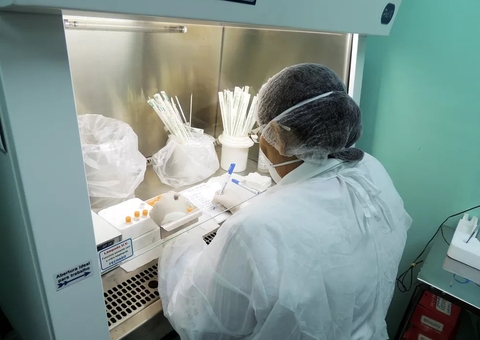 Esporotricose avança e causa primeira morte no Amazonas