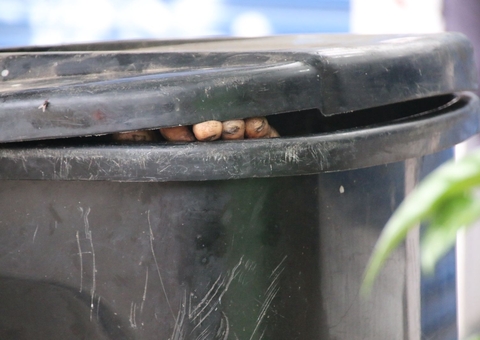 Polícia investiga se corpo achado em lixeira no Centro foi jogado por grupo em carro
