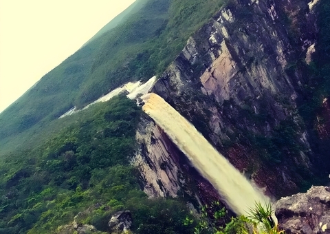 Cinco parques de proteção do Amazonas têm propriedades rurais irregulares, aponta MPAM