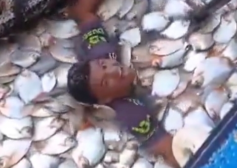 Pescador mergulha em rio repleto de pacus no Amazonas e vídeo viraliza