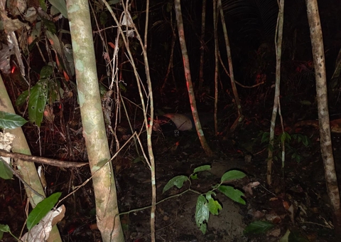 Mototaxista é assaltado e assassinado durante corrida no Tarumã