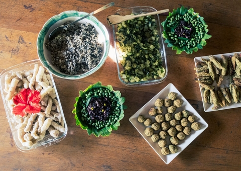 Chef ensina receitas com PANCs em formatura de agricultoras em Manaus