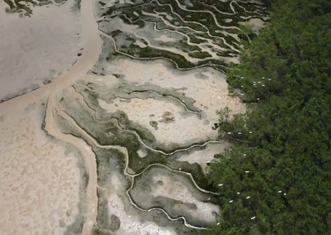 Petrobras recebe licença para perfuração de poço na Foz do Amazonas