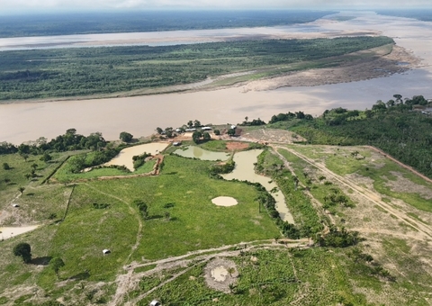Posseiro é multado em R$ 24 milhões por maior desmatamento do ano no Amazonas