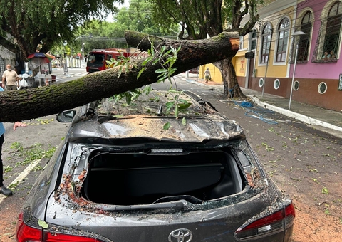 Avenida é desobstruída após queda de tronco sobre carro no Centro