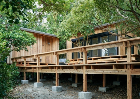 Arquitetura regenerativa ganha força na Amazônia, com foco em sustentabilidade