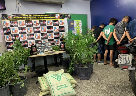 Polícia prende grupo e apreende plantação de maconha em chácara no Tarumã