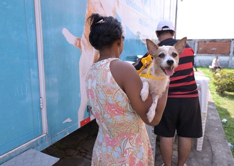 Silves recebe Castramóvel com castração e vacinação gratuitas para pets