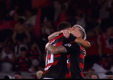 Flamengo bate o Ceará e conquista título do Campeonato Brasileiro