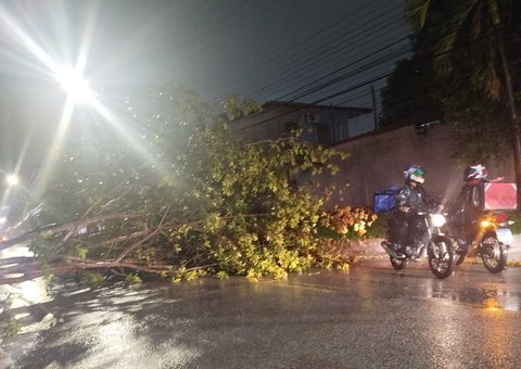 Árvores caídas, bairros alagados e ventos de 55 km/h: Manaus registra 32 ocorrências devido a chuva