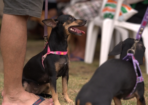 Castramóvel libera 120 vagas para castração gratuita no Jorge Teixeira nesta quarta